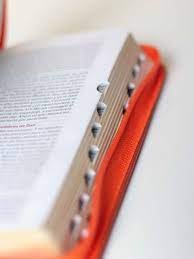 Biblia/RVR035cZTI/ PJR /Cafe - Naranja 2 Biblia/RVR035cZTI/ PJR /Cafe - Naranja - Image 2