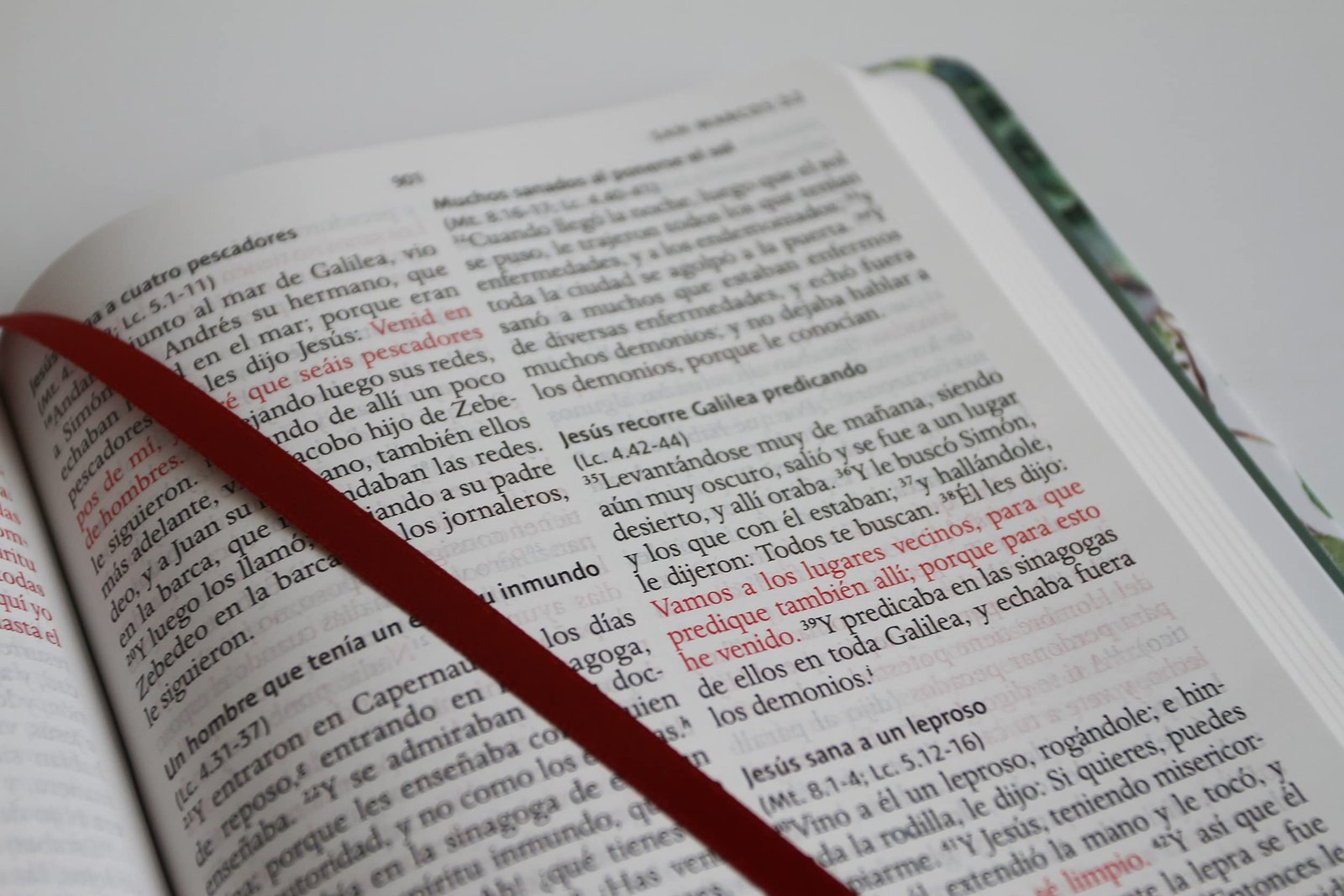 Biblia RVR60 tela verde con flores 2 Biblia RVR60 tela verde con flores - Image 2