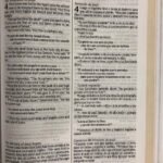 Biblia Bilingue NTV NLT Gris – imagen 4