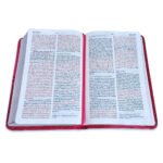 Biblia para Quinceañeras Reina Valera 1960 Frambuesa – imagen 3
