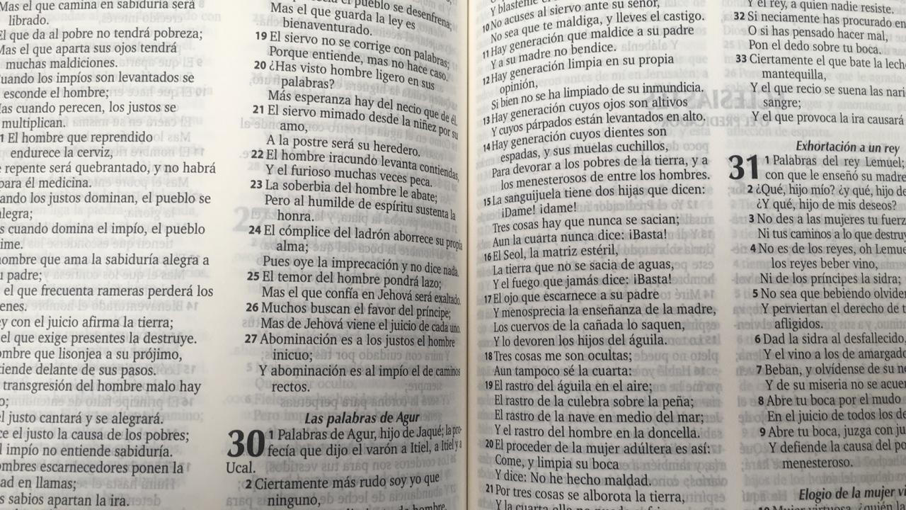 Biblia Reina Valera 1960/Forrada 2 Biblia Reina Valera 1960/Forrada - Image 2