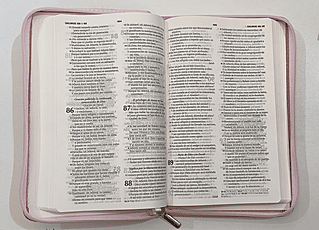 Biblia Reina Valera 1960/Forrada 3 Biblia Reina Valera 1960/Forrada - Image 3