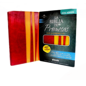 Biblia de Promesas RVR60 Rojo, Amarillo