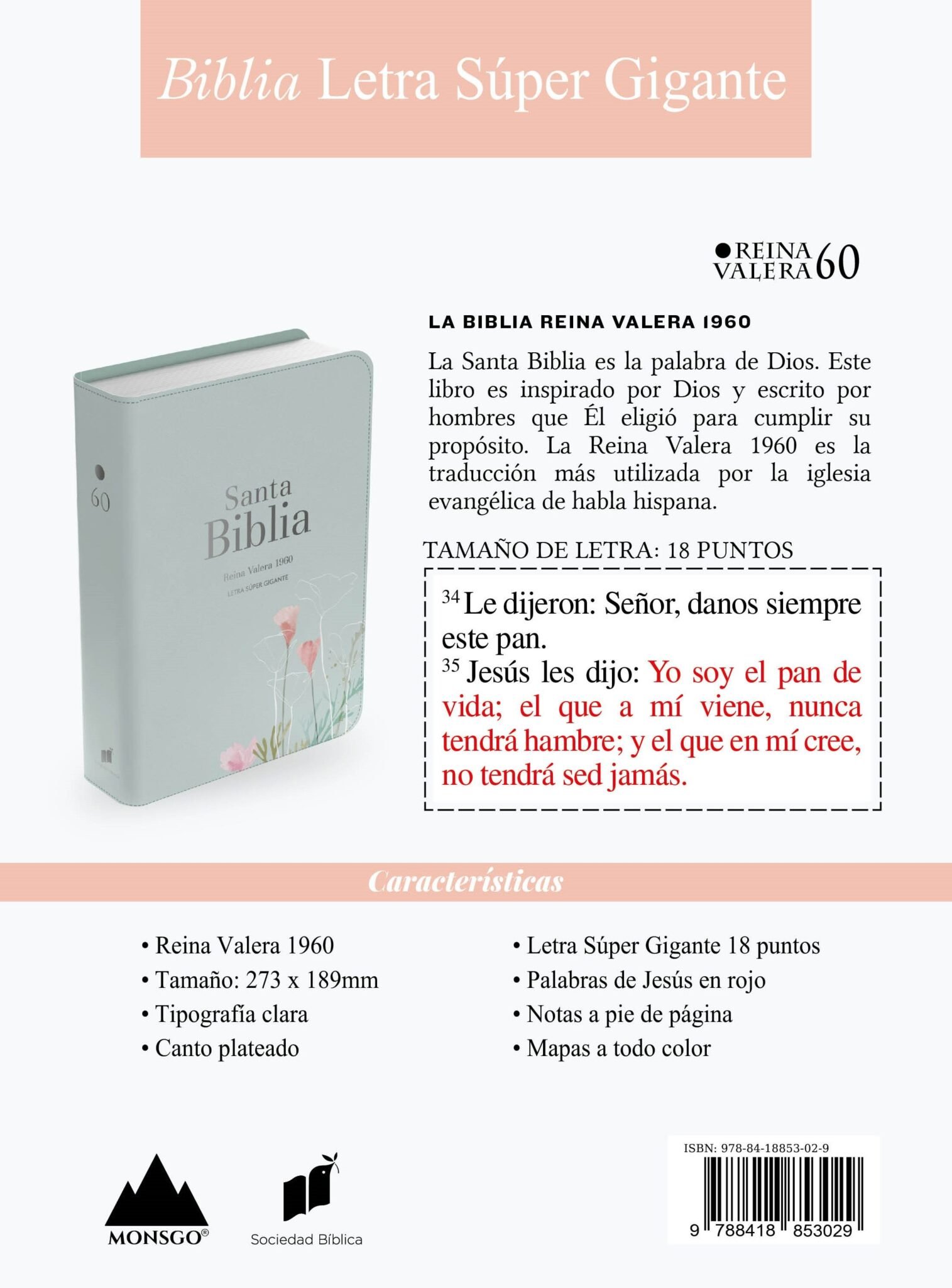 Biblia RVR 1960 Letra Súper Gigante Símil Piel Menta Fresca 3 Biblia RVR 1960 Letra Súper Gigante Símil Piel Menta Fresca - Image 3