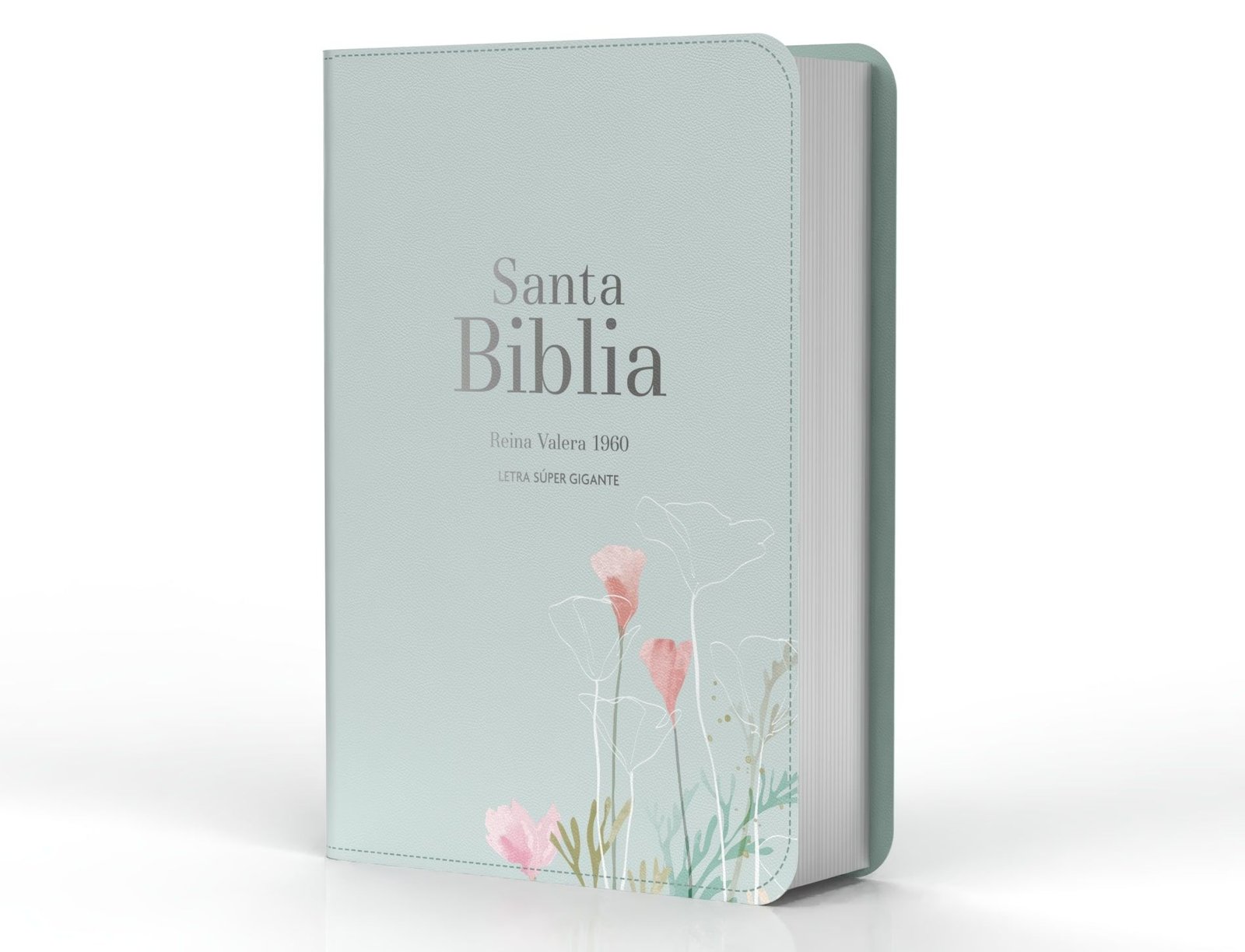 Biblia RVR 1960 Letra Súper Gigante Símil Piel Menta Fresca 2 Biblia RVR 1960 Letra Súper Gigante Símil Piel Menta Fresca - Image 2