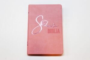 Biblia RVR066eLM Rosado Canto Pintado Sin Cierre