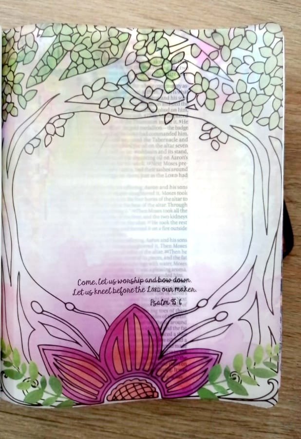 Biblia Inspire Praise Inglés 4 Biblia Inspire Praise Inglés - Image 4