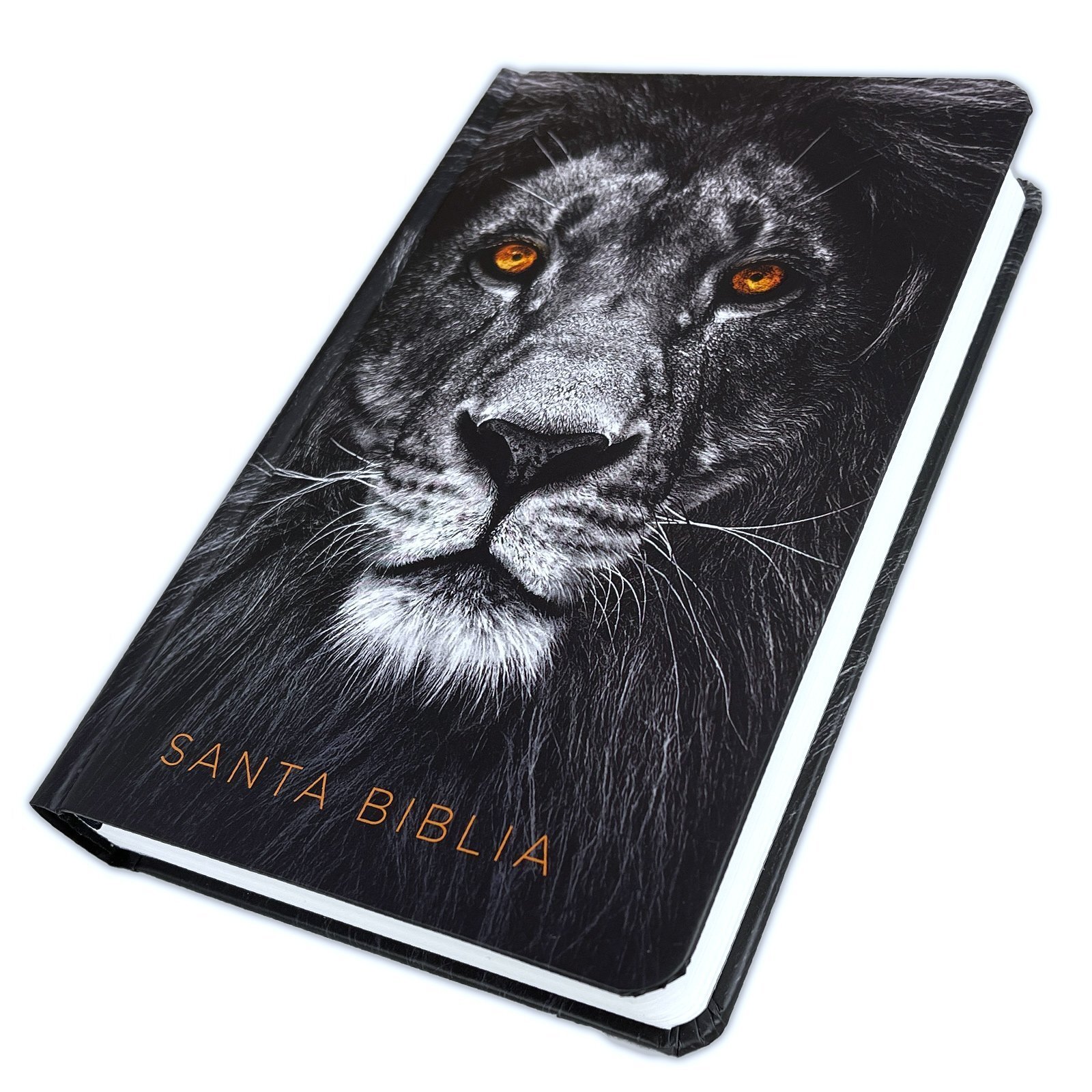 RV1960 BIBLIA LEON DE JUDAH 1 Biblia RVR60 León de Judá