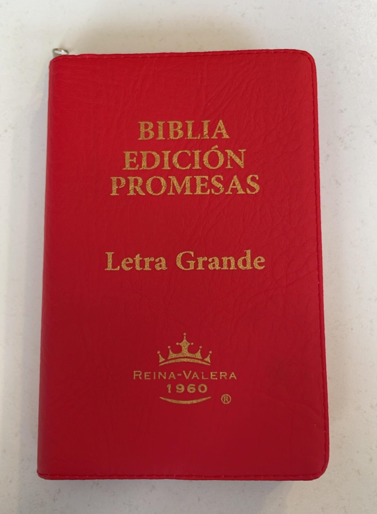 Biblia Reina Valera 1960 Letra Grande con Promesas 6 Biblia Reina Valera 1960 Letra Grande con Promesas - Image 6
