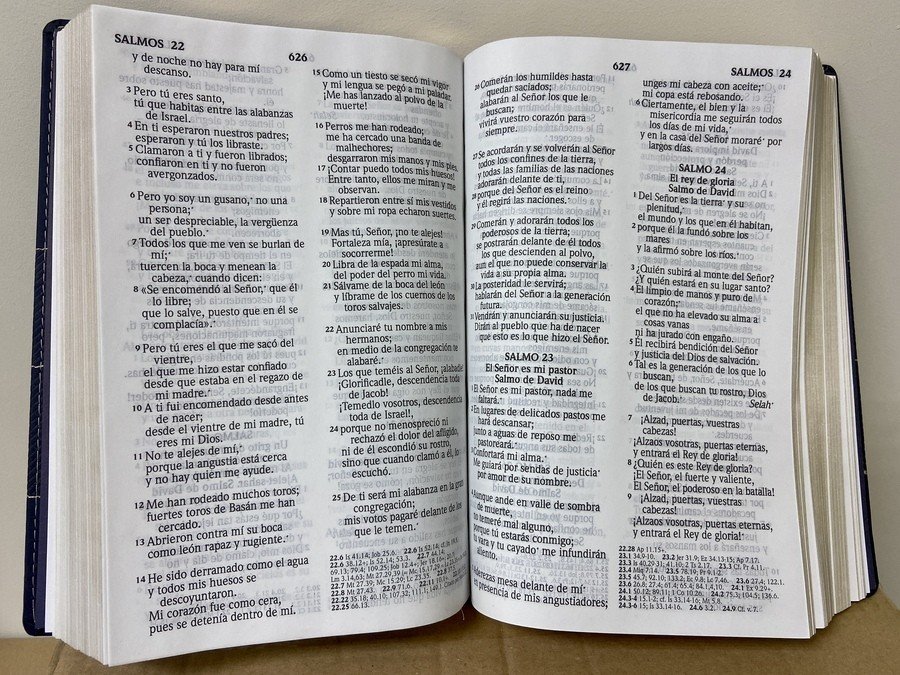 Biblia RVR 2020 Letra Grande Piel Gris Franja 5 Biblia RVR 2020 Letra Grande Piel Gris Franja - Image 5