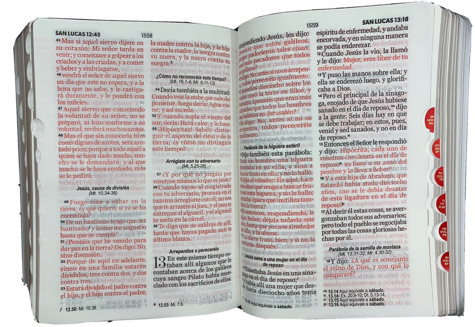 RVR60 Biblia Jean cinturón negro tamaño manual LG 5 RVR60 Biblia Jean cinturón negro tamaño manual LG - Image 5