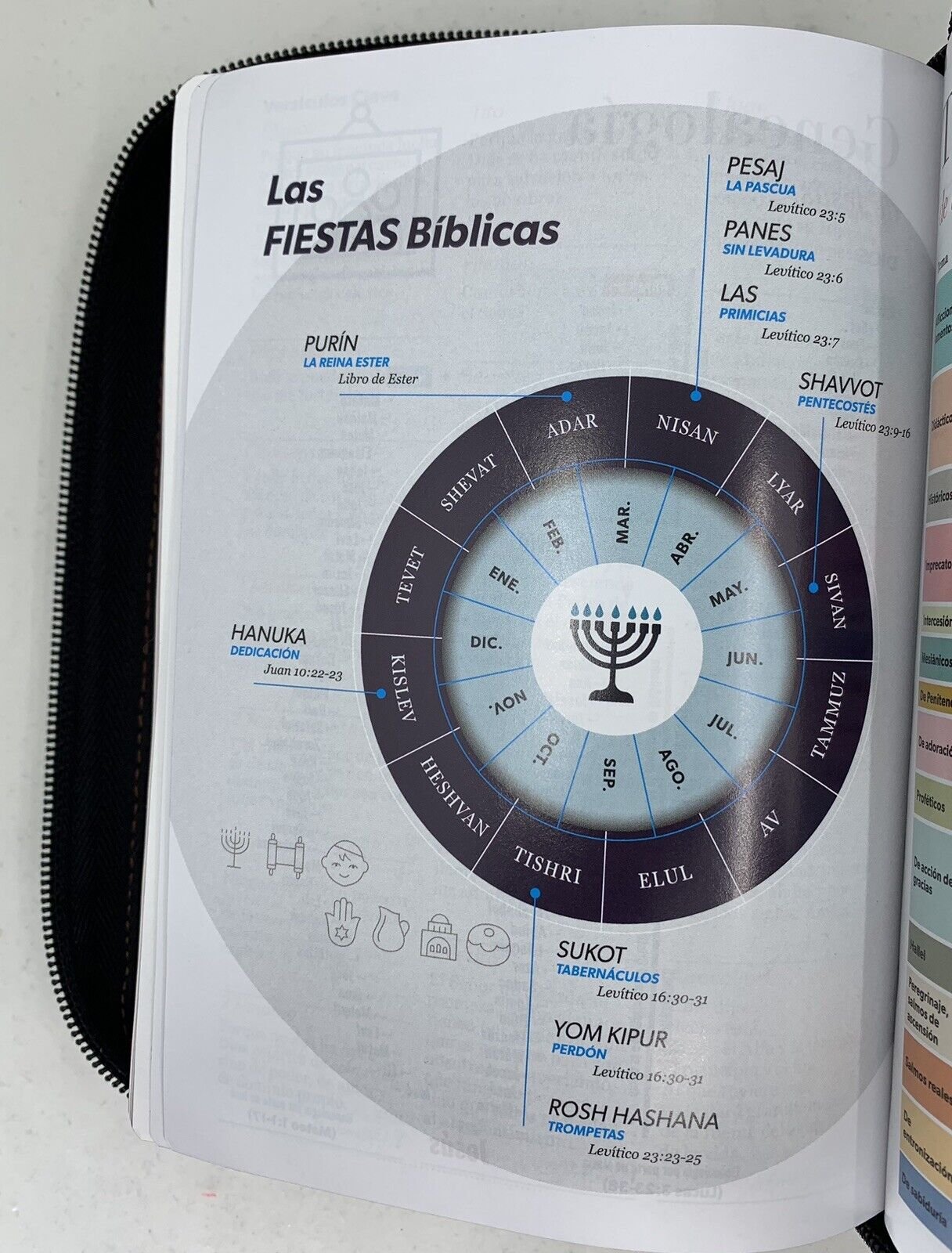 RVR60 Biblia Jean cinturón negro tamaño manual LG 7 RVR60 Biblia Jean cinturón negro tamaño manual LG - Image 7
