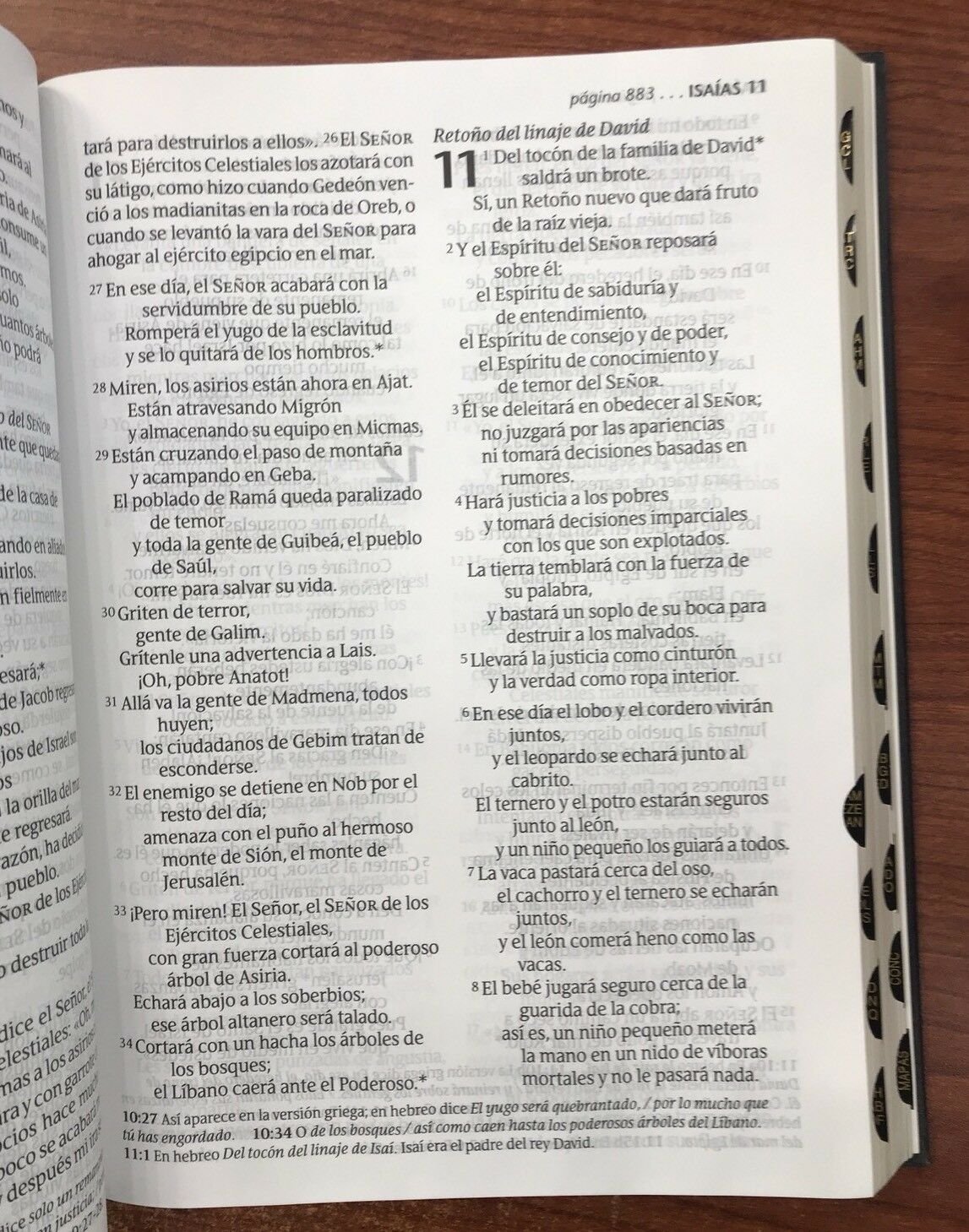 Santa Biblia Letra Super gigante NTV Negro 3 Santa Biblia Letra Super gigante NTV Negro - Image 3