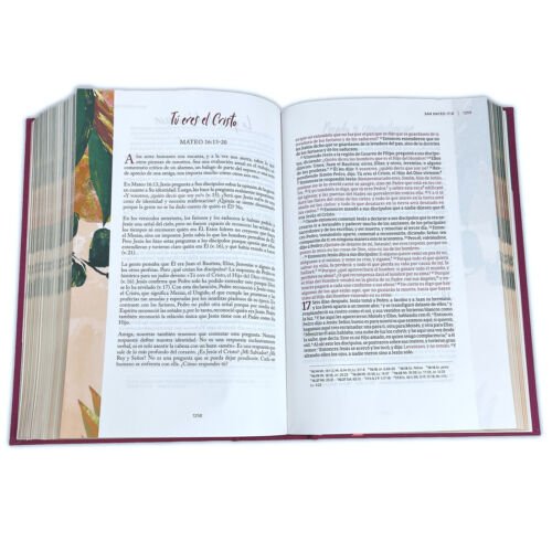 RV60 Biblia Centrada en Cristo/Granada/Tapa Dura/BH 3 RV60 Biblia Centrada en Cristo/Granada/Tapa Dura/BH - Image 3