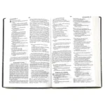 Biblia RVR 2020 Flex Marrón – imagen 3