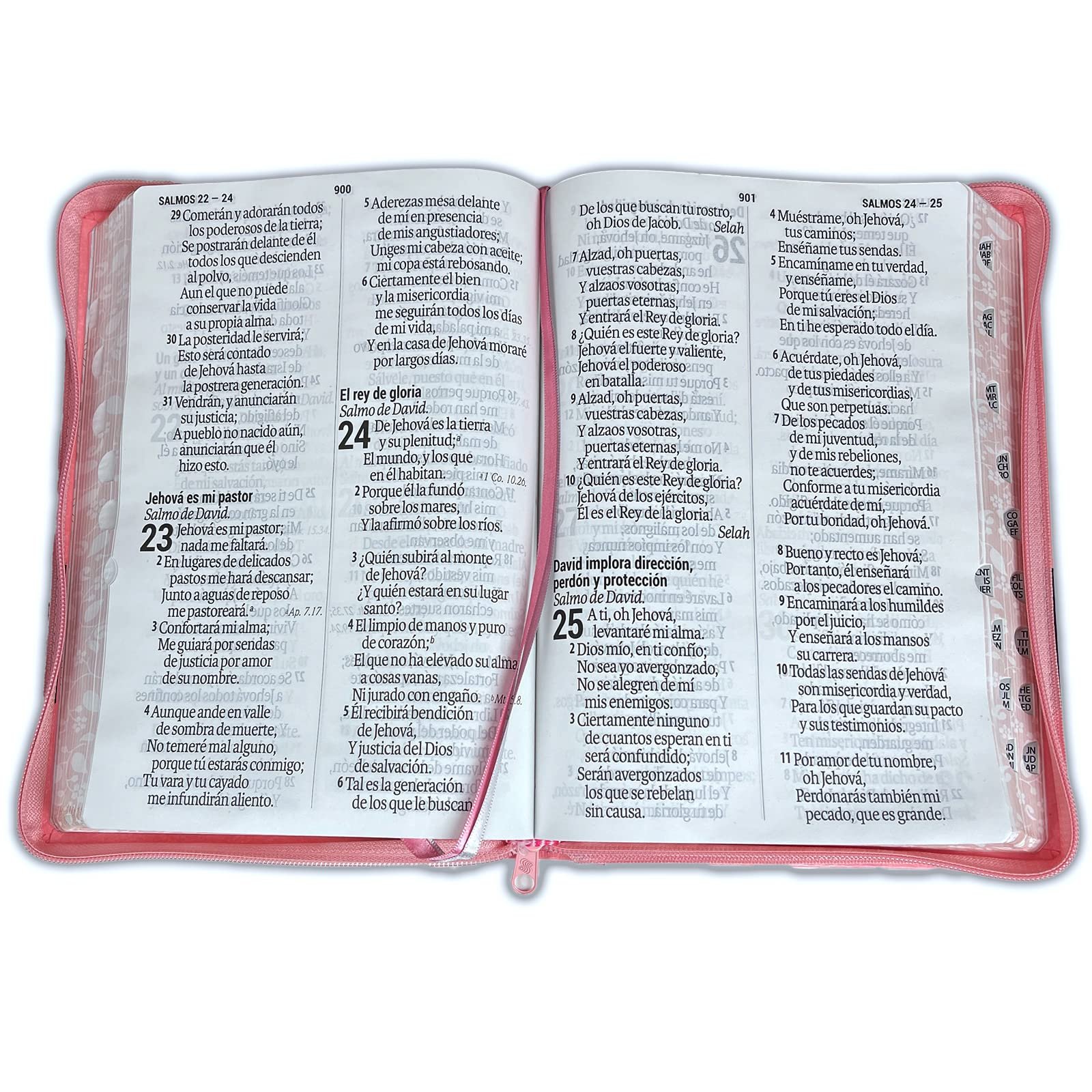 Biblia Letra Supergigante 19 puntos: RVR60/duotono con índice 2 Biblia Letra Supergigante 19 puntos: RVR60/duotono con índice - Image 2