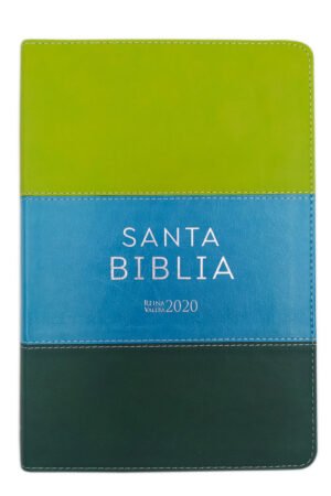 Biblia Letra Grande 12 puntos RVR  2020