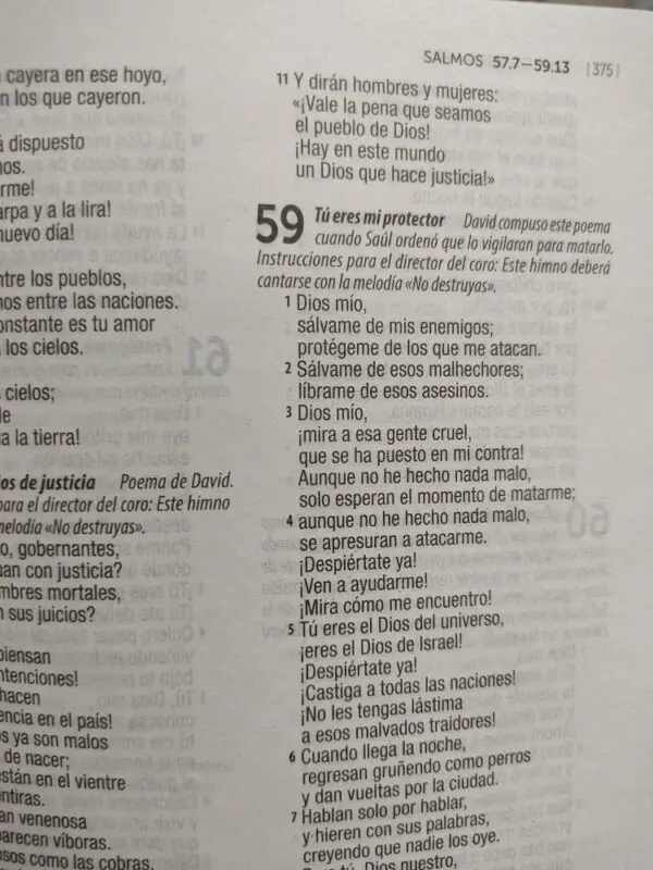 Biblia Misionera Traducción Lenguaje Actual Verde 2 Biblia Misionera Traducción Lenguaje Actual Verde - Image 2