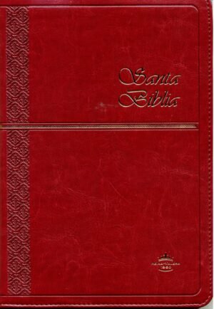 Santa Biblia vino RVR 60
