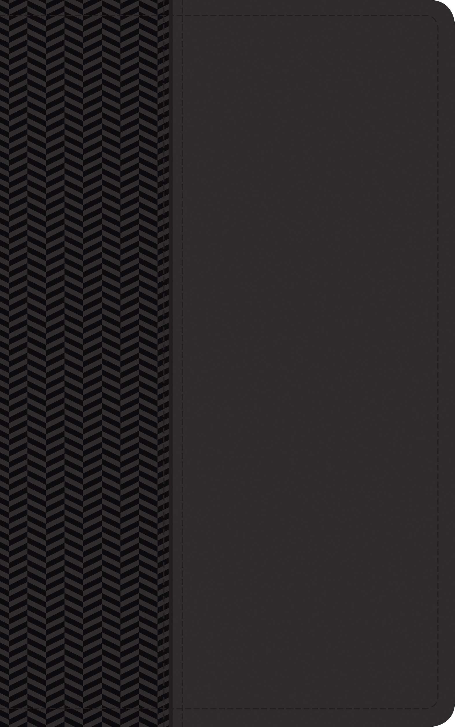 Biblia Diario Vivir NTV De Estudio Negra Personal/Corrugada 1 Biblia Diario Vivir De Estudio Negra Personal