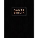 Biblia NTV Edición Premio y Regalo – Vinilo Negro, Letra Roja