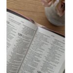 Biblia NTV Compacta Lg Zip Fee Llik Tan NTV – imagen 4