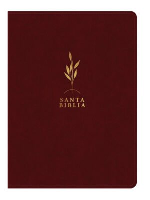 Biblia RVR60 de Estudio Diario Vivir