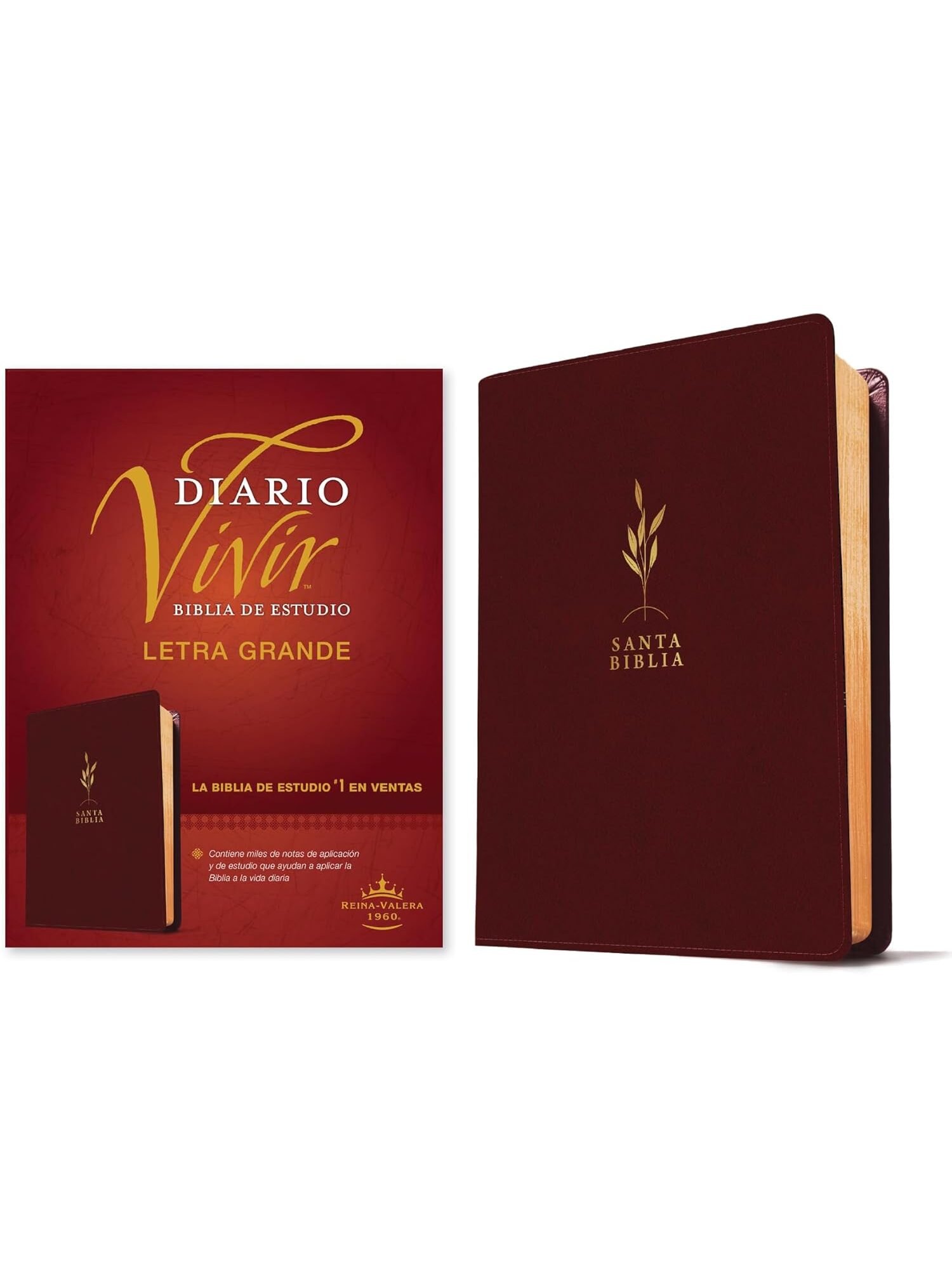 Biblia De Estudio Diario Vivir RVR60/ Letra Grande/ Vinotinto Sentipiel 2 Biblia De Estudio Diario Vivir RVR60/ Letra Grande/ Vinotinto Sentipiel - Image 2