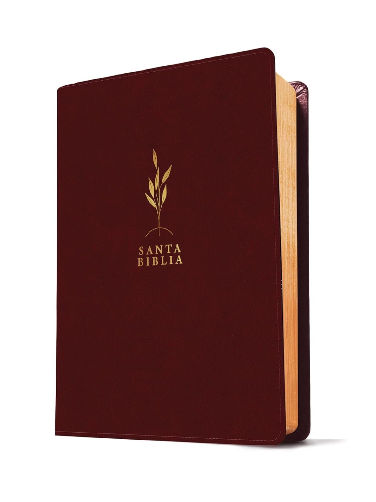 Biblia De Estudio Diario Vivir RVR60/ Letra Grande/ Vinotinto Sentipiel 3 Biblia De Estudio Diario Vivir RVR60/ Letra Grande/ Vinotinto Sentipiel - Image 3