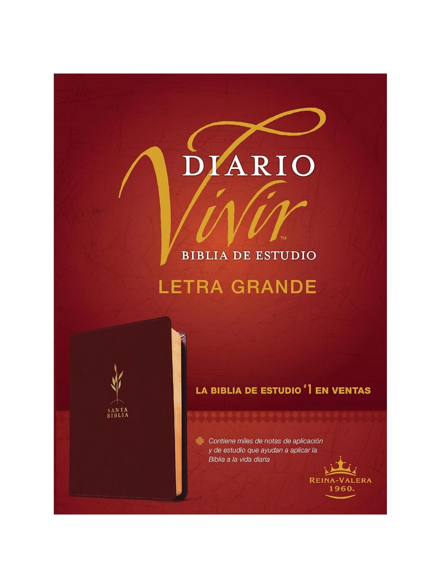 Biblia De Estudio Diario Vivir RVR60/ Letra Grande/ Vinotinto Sentipiel 4 Biblia De Estudio Diario Vivir RVR60/ Letra Grande/ Vinotinto Sentipiel - Image 4