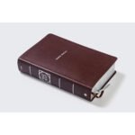 Biblia de Estudio NVI Actualizada – Revisión 2022, Café – imagen 4