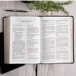 Biblia Reina Valera 1960 Letra Súper Gigante Negra y Café – imagen 4