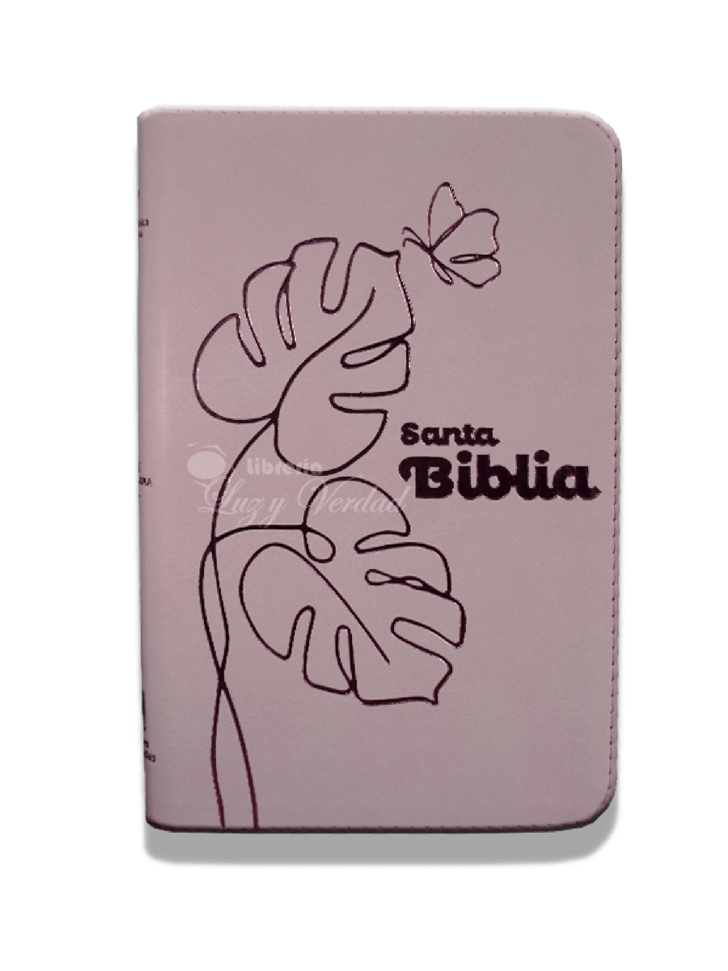 Biblia RVR1960, Letra Grande Zipper, Rosada Canto Plateado 1 Biblia Reina Valera 1960 Letra Grande