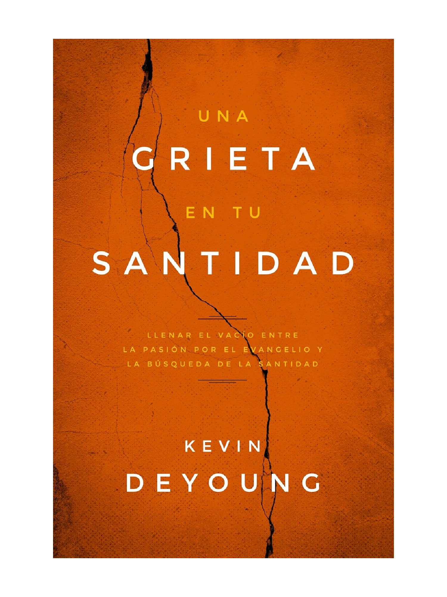 Grieta En Tu Sanidad/ Una 1 Una Grieta en tu Santidad
