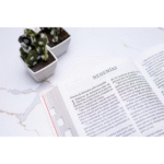 Biblia RVR1960/ Letra Supergigante Negro con Índice Piel – imagen 4