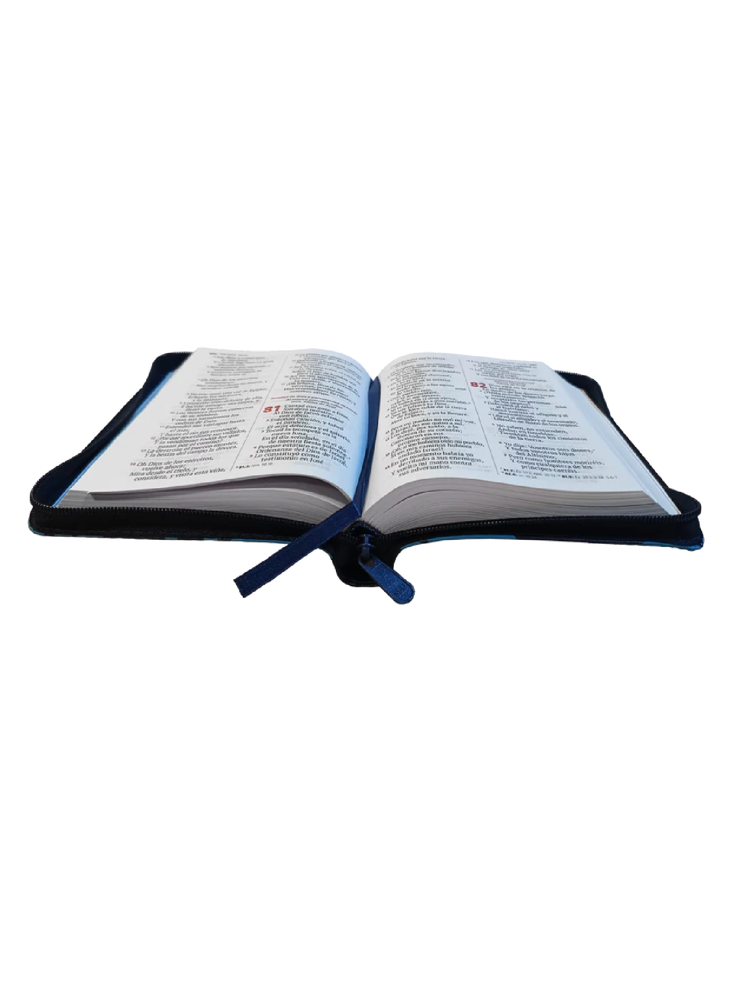 Biblia RVR045cLGZ/ Azul Flor Sahlom Cierre 2 Biblia RVR045cLGZ/ Azul Flor Sahlom Cierre - Image 2