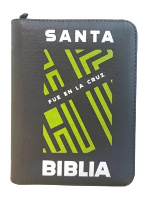 Biblia RVR 1960 Con Ayudas Digitales Color Gris Letra Grande