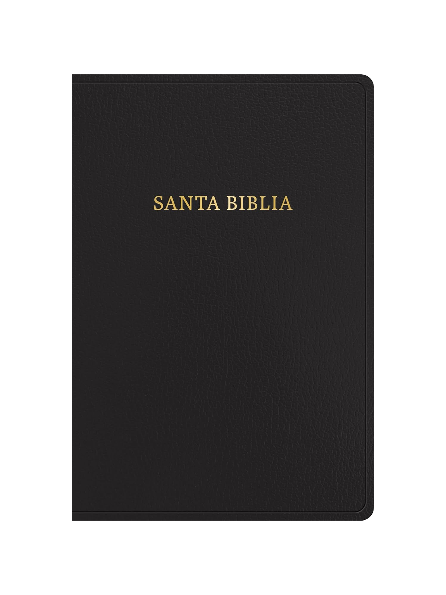 Biblia RVR60 Letra Supergigante/ Negro Imitacion Piel Ed.2023 1 Biblia RVR 1960 Con Referencias Nueva Tipografía, Negro, Imitación Piel (Edición 2023)