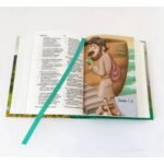 Biblia/ RVR023cdPPJR /TD/ Amigos Por Siempre Colores – imagen 2