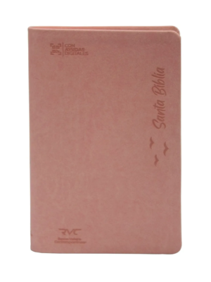 Biblia RVR Contemporánea Negro Gris, Canto Plateado