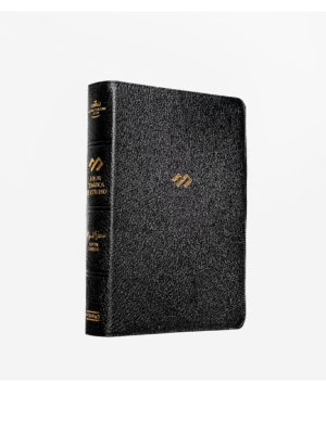Biblia NTV Edición clásica, Letra Gigante, SentiPiel, Vino tinto, Índice