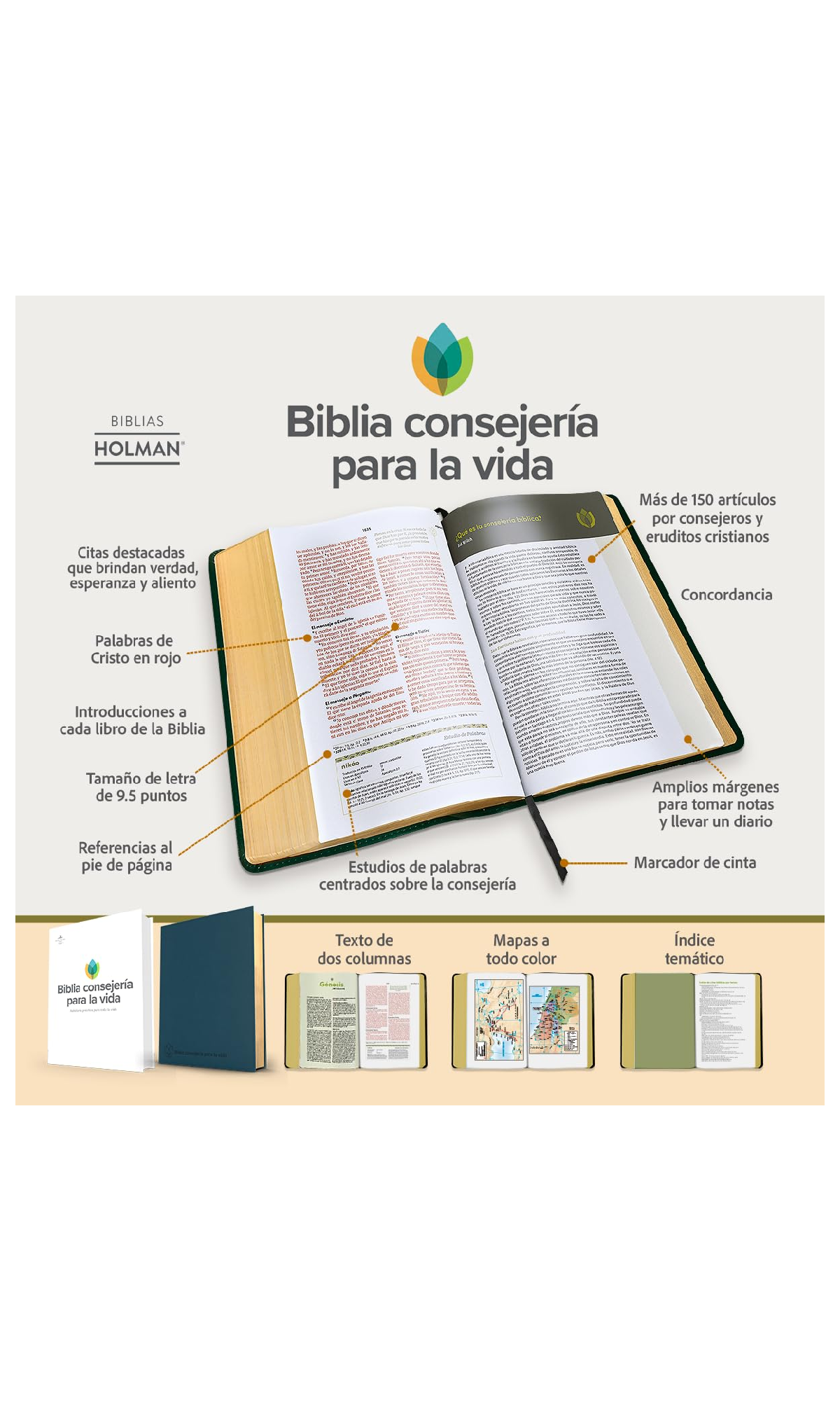 Biblia RVR 1960 Consejería para la vida 2 Biblia RVR 1960 Consejería para la vida - Image 2