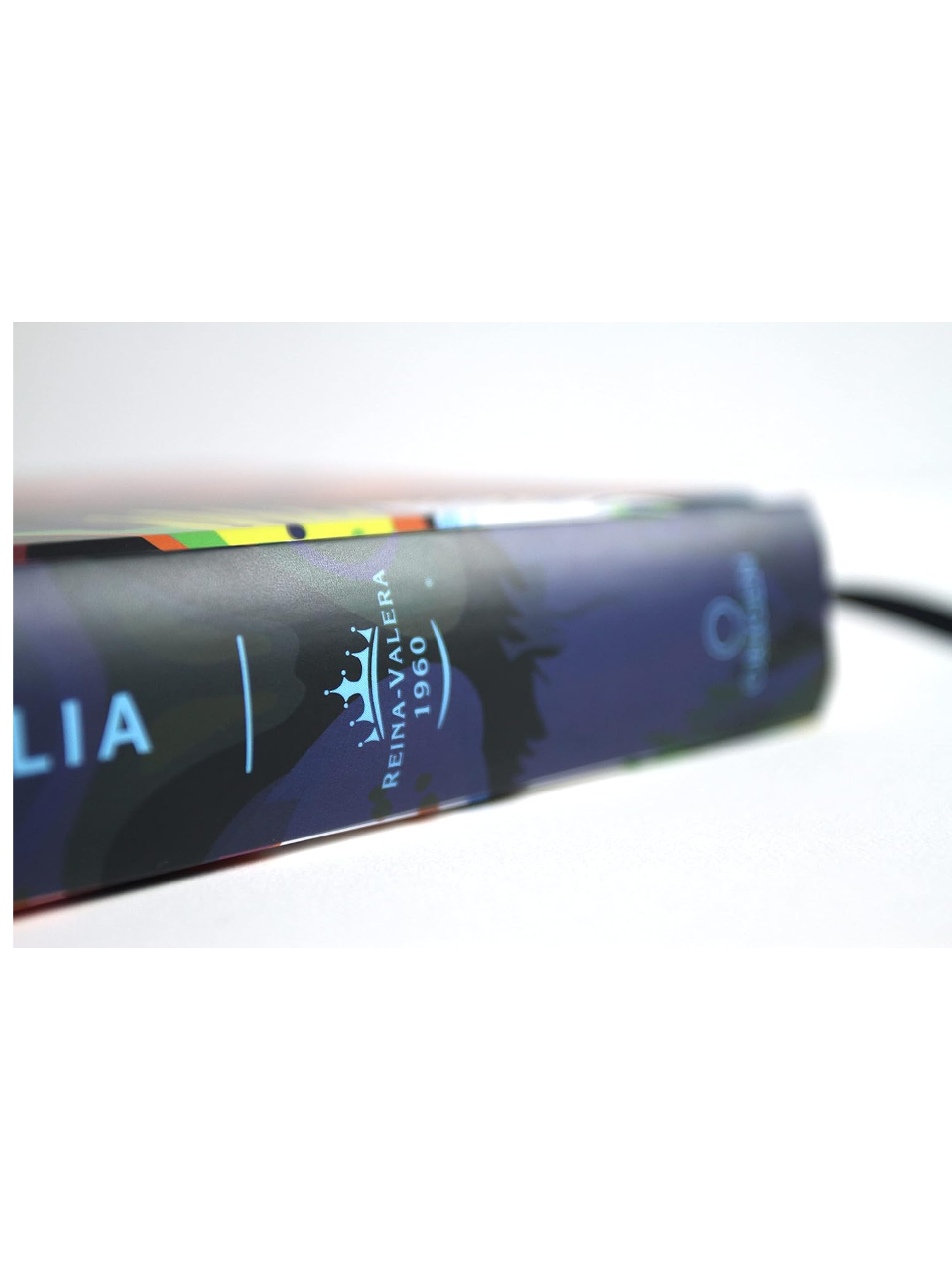 Biblia RVR60 Nombres De Dios/Tapa Dura Leon De Juda Arcoiris 3 Biblia RVR60 Nombres De Dios/Tapa Dura Leon De Juda Arcoiris - Image 3