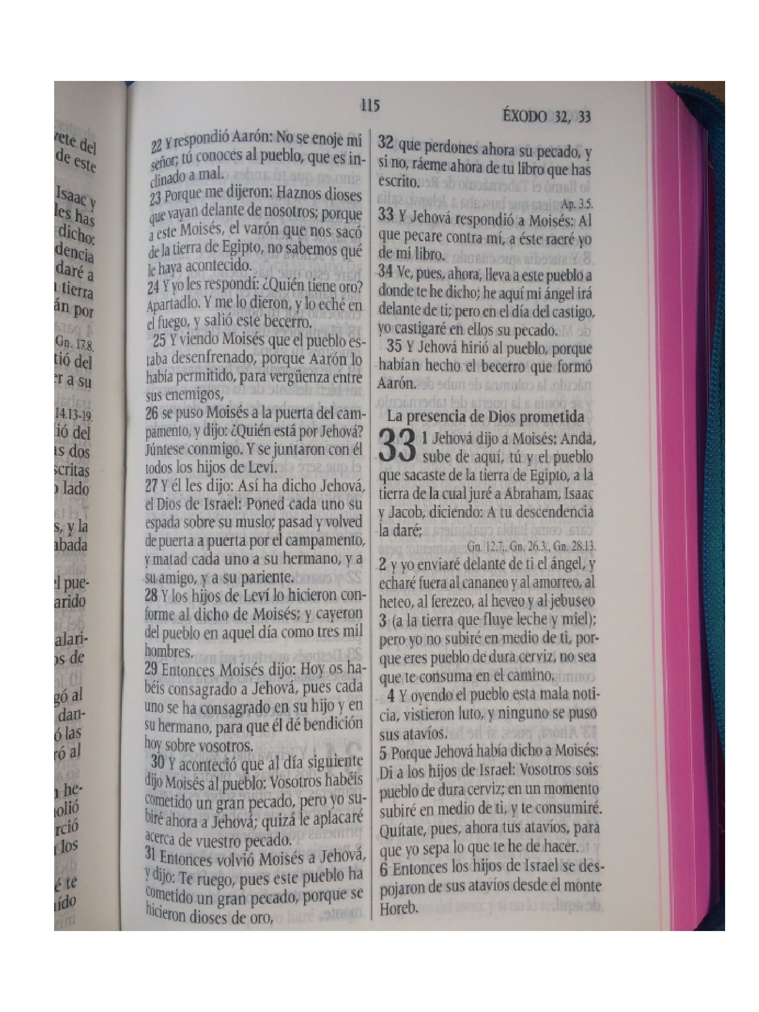 RVR 60 Biblia color fucsia con ayuda digital 3 RVR 60 Biblia color fucsia con ayuda digital - Image 3
