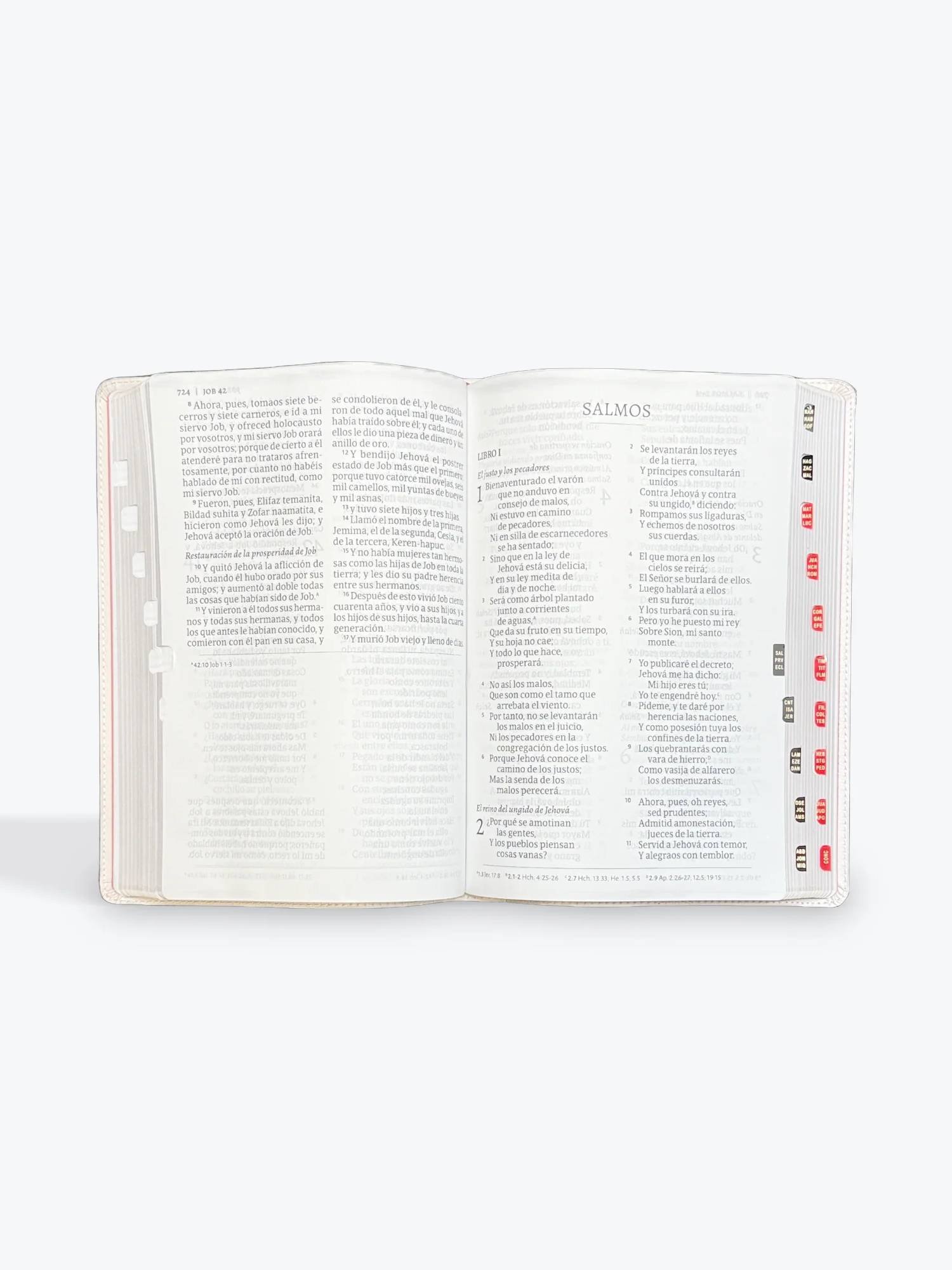 Biblia RVR 1960 Súper Gigante Flores Símil Piel con Índice 4 Biblia RVR 1960 Súper Gigante Flores Símil Piel con Índice - Image 4