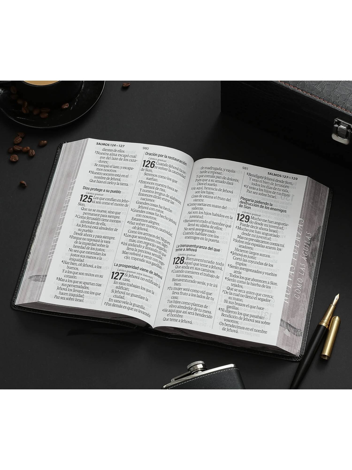 Biblia RVR60 Nuevas Fuerzas, Letra Súper Gigante Sentí Piel Canto Pintado 2 Biblia RVR60 Nuevas Fuerzas, Letra Súper Gigante Sentí Piel Canto Pintado - Image 2