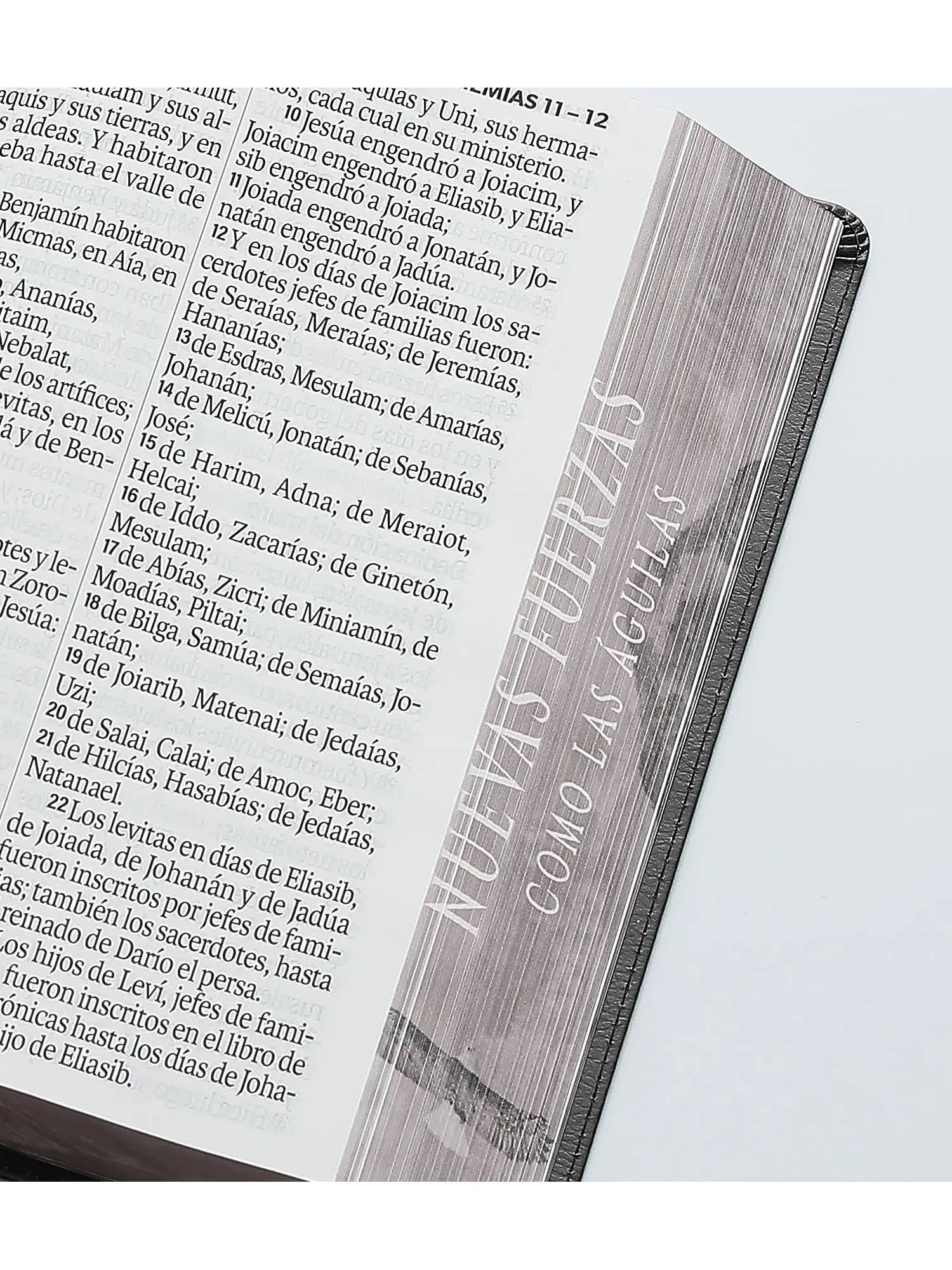 Biblia RVR60 Nuevas Fuerzas, Letra Súper Gigante Sentí Piel Canto Pintado 6 Biblia RVR60 Nuevas Fuerzas, Letra Súper Gigante Sentí Piel Canto Pintado - Image 6