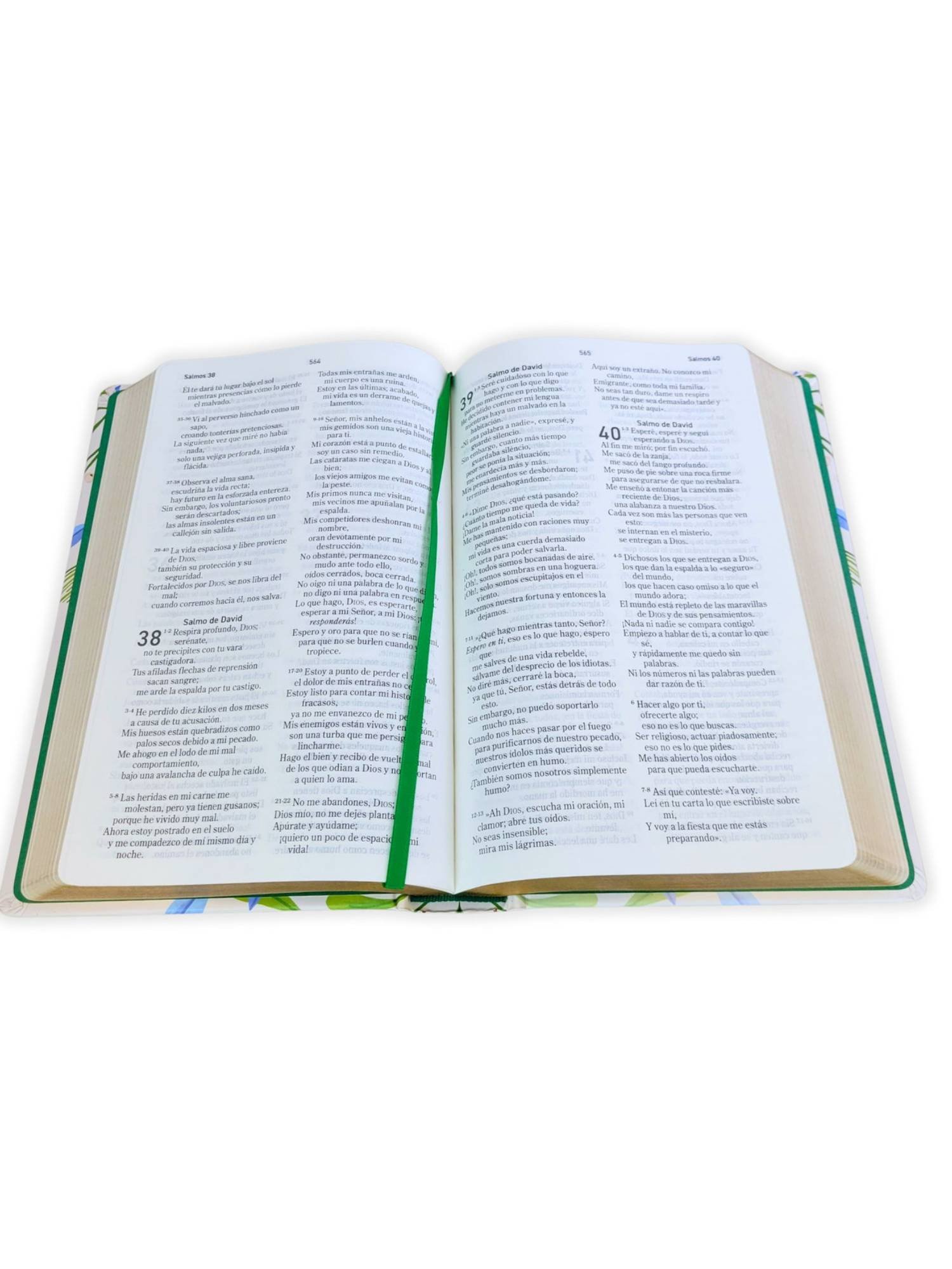 Biblia El Mensaje Tapa dura Verde Floral, La Biblia en un Lenguaje Claro y Profundo 4 Biblia El Mensaje Tapa dura Verde Floral, La Biblia en un Lenguaje Claro y Profundo - Image 4