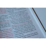 Biblia KJV Holy Bible León de Judá Negro – en inglés – imagen 4