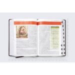Biblia NVI de Estudio Letra Grande Café Símil Piel con Índice – imagen 5